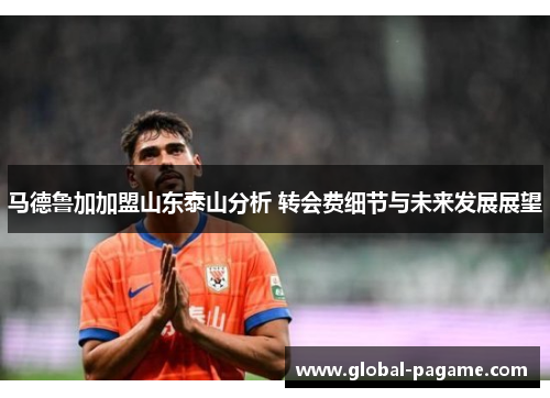 马德鲁加加盟山东泰山分析 转会费细节与未来发展展望