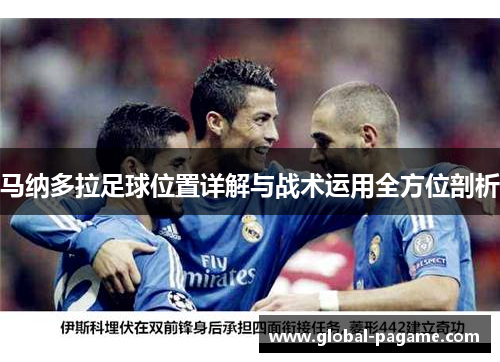 马纳多拉足球位置详解与战术运用全方位剖析