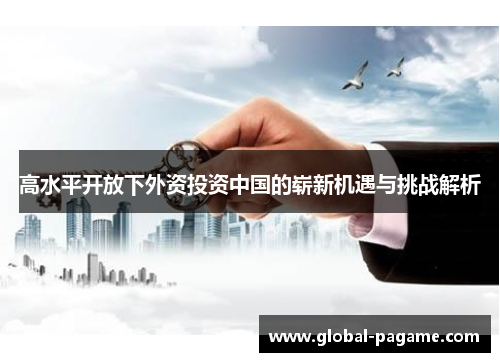 高水平开放下外资投资中国的崭新机遇与挑战解析