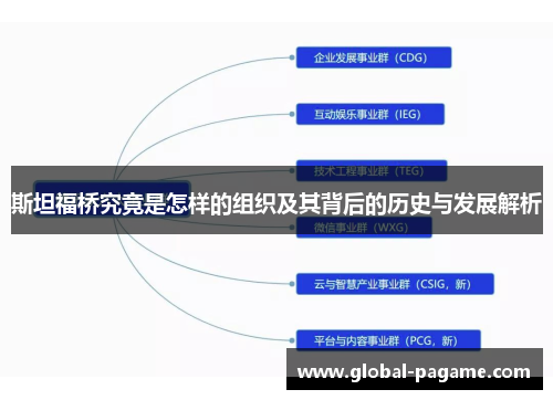 斯坦福桥究竟是怎样的组织及其背后的历史与发展解析