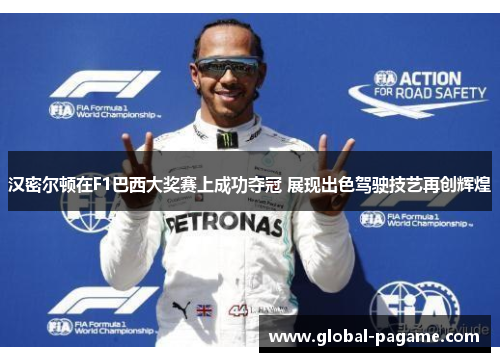 汉密尔顿在F1巴西大奖赛上成功夺冠 展现出色驾驶技艺再创辉煌