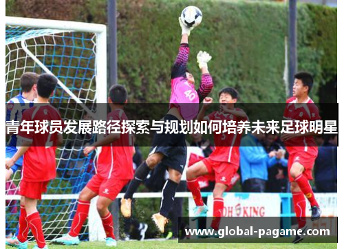 青年球员发展路径探索与规划如何培养未来足球明星