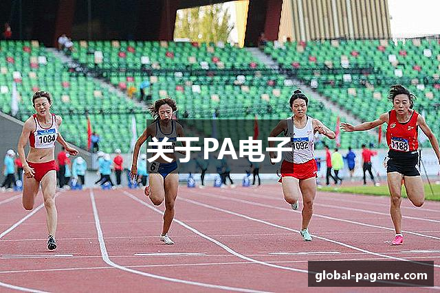 关于PA电子
